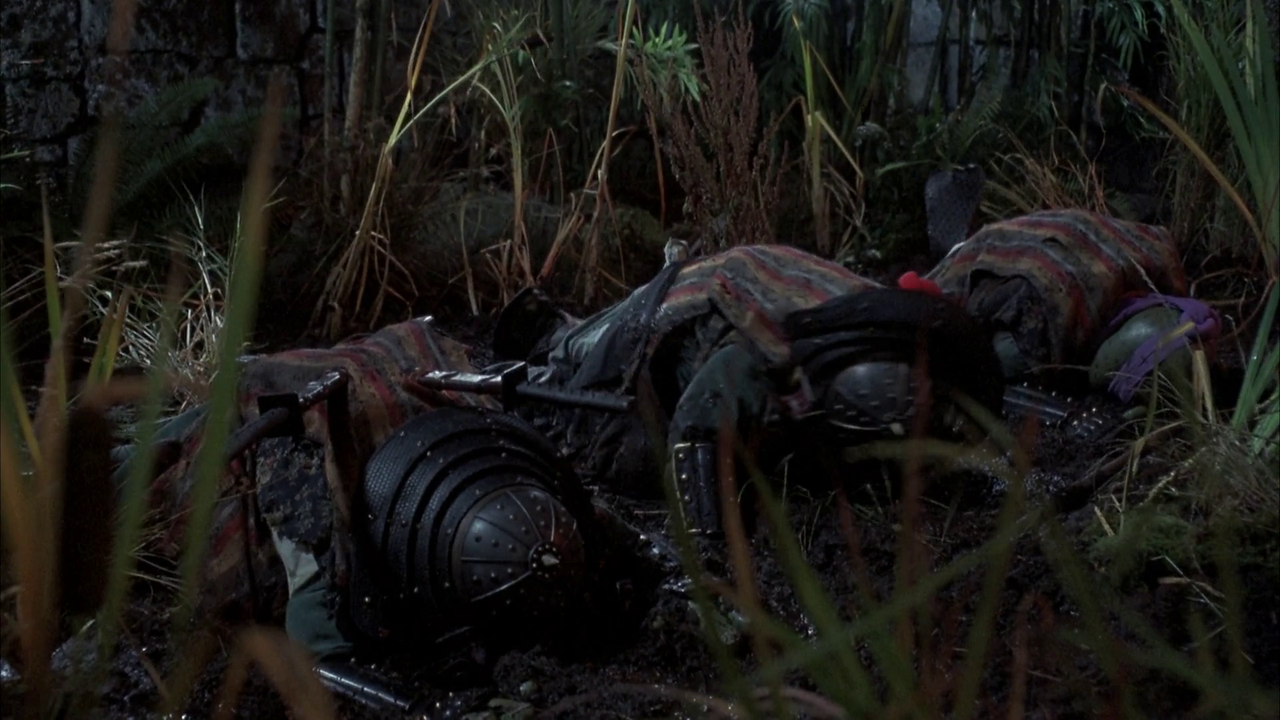 vlcsnap-2024-03-05-13h00m36s947