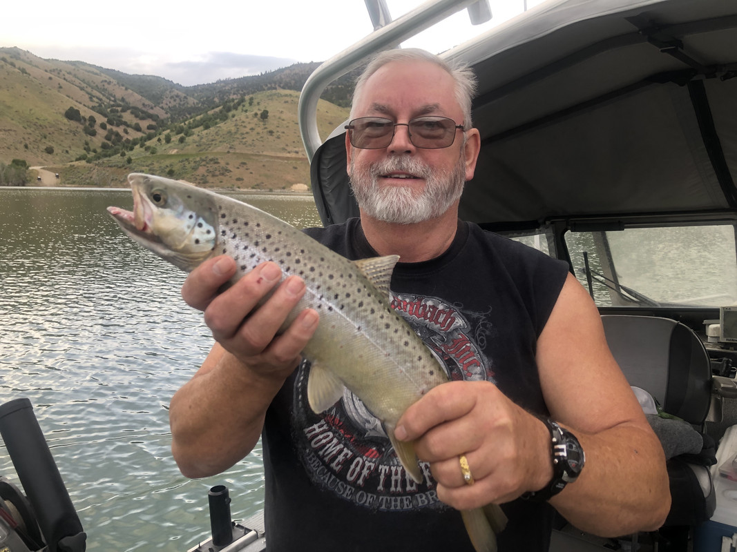 AD6BD0D2-5A77-42F2-B4A6-AFC2EA9E989F