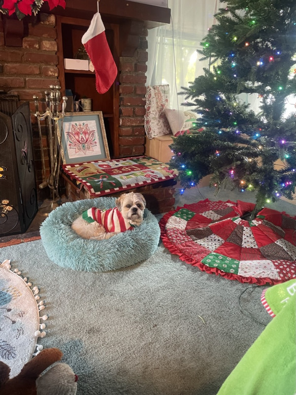 E5DCE818-0C2C-43BE-A1BF-37AC7B7808AD_1_105_c