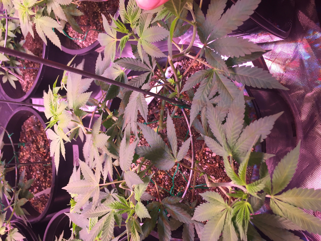 2771B8BC-0484-450D-A846-CA492F2485F6