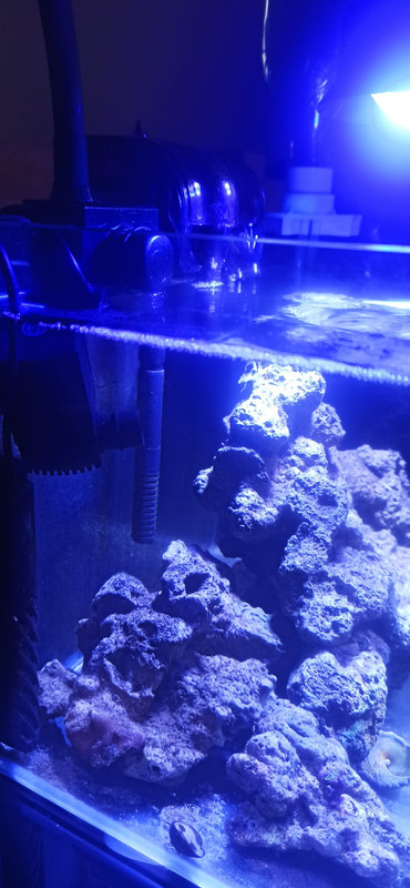 c24c17fe 25c1 4543 826b c4656beb918b