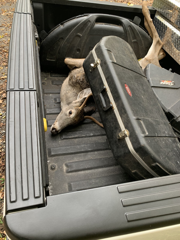 3AAEFB70-7721-4E29-A477-43F9369522DF