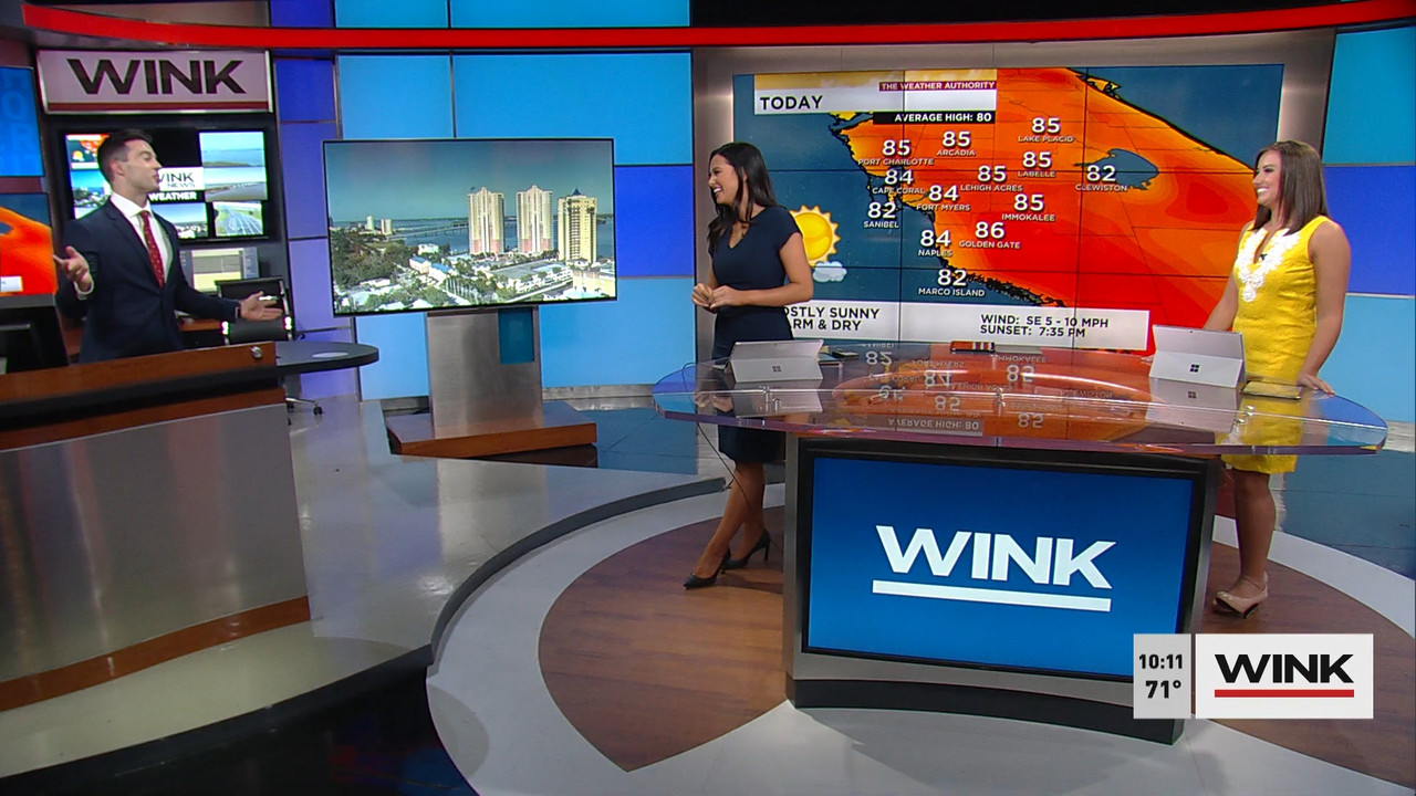 03.14 - 14.00.00 - WINK News at 9 00 a.m..ts_snapshot_00.13.56.012