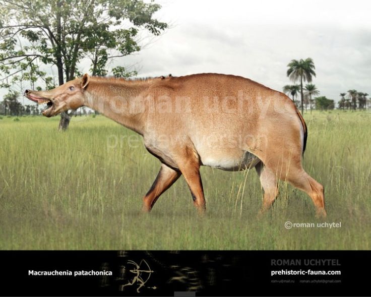 724f56e03620fc55305adc9d12a11591