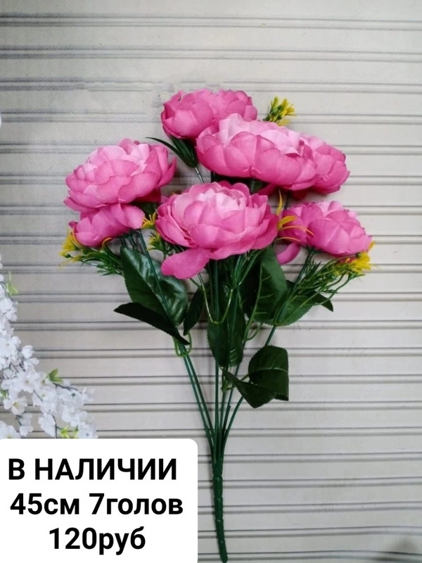 https://i.postimg.cc/7ZwS4frN/j6-PZ0c-Kq-DN8.jpg
