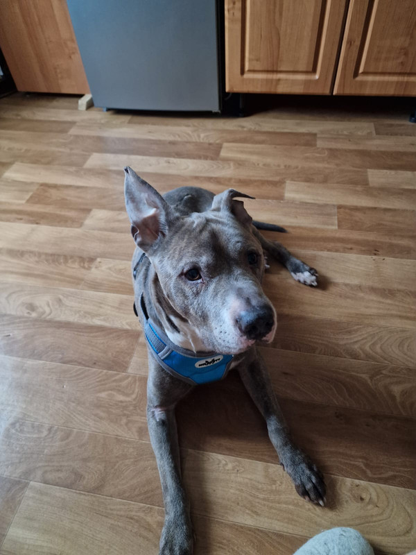 90CD3DF7-F1DC-416B-977E-5822C4B0BD25