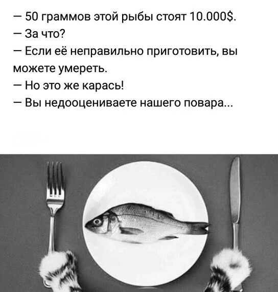 17984696.jpg