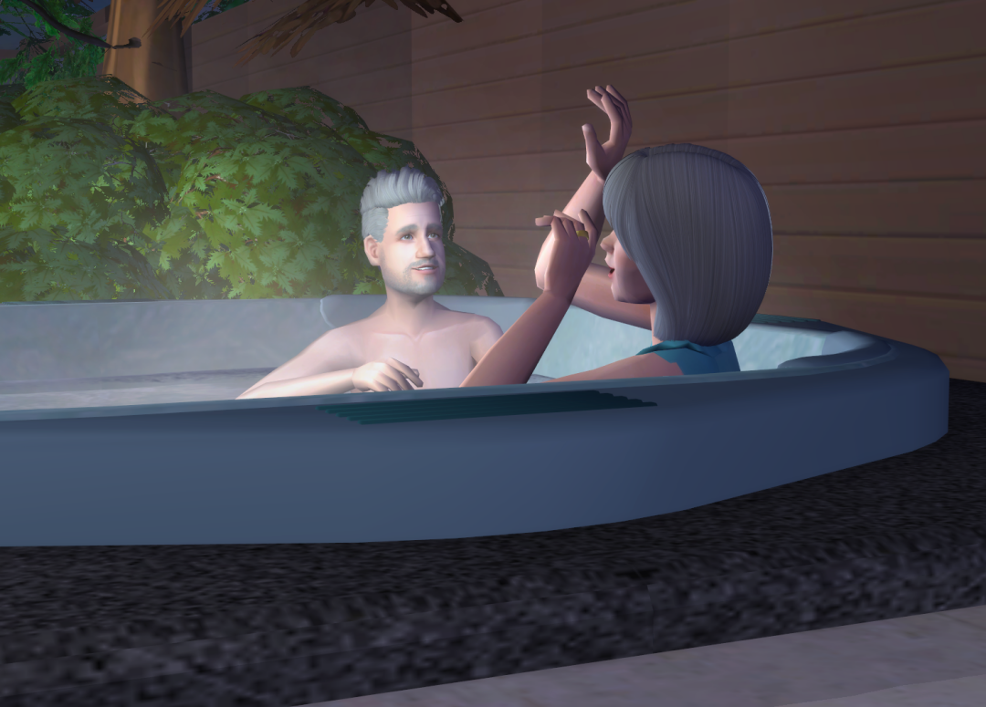 Sims2-EP9-RPC-2024-05-12-13-30-20-80