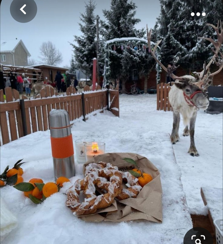 Screenshot_20231101_230745_Pinterest