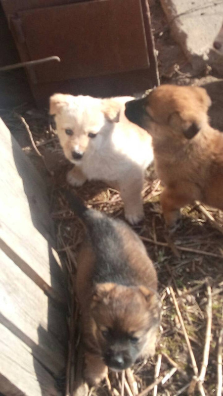 FC3E8B8A-192A-4266-B936-82D5E0175D6F