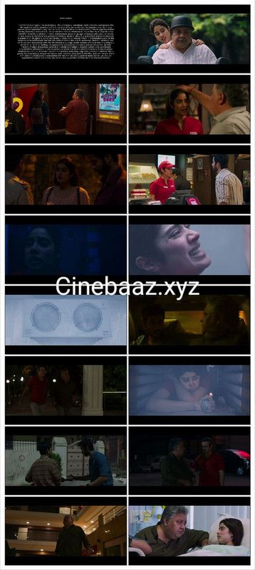 Mili (2022) Hindi Netflix WEB-DL – 480P | 720P | 1080P – x264 – 4.9GB ESub- Download screenshot