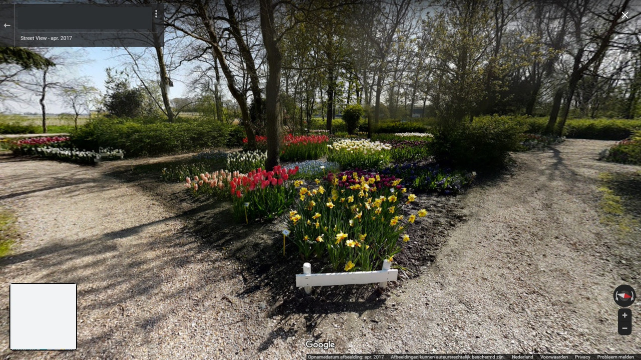 streetview.jpg