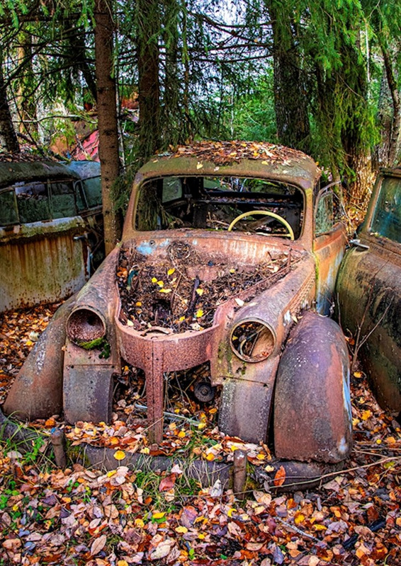 7A76B37B-474F-4576-BA38-6D12D793B060