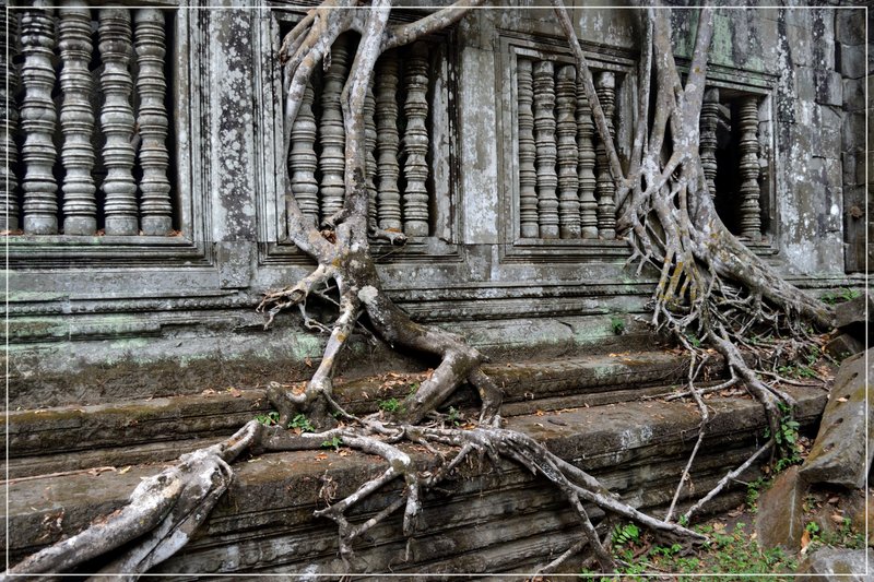 Angkor III. Beng Mealea y traslado a Phnom Penh. - De la bahía de Halong a los templos de Angkor (8)