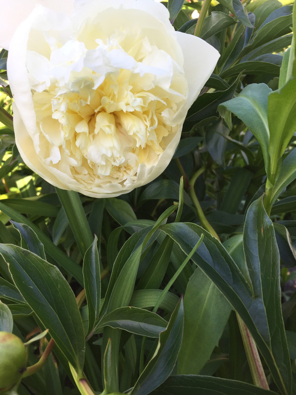 438CEFFB-75AC-4F6C-8D15-0756926B905D