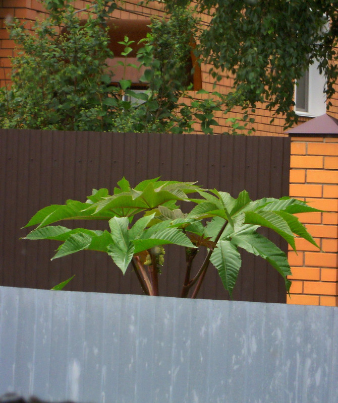 DSCN3912.jpg