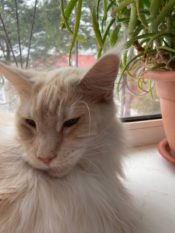 PHOTO-2023-02-26-13-08-09