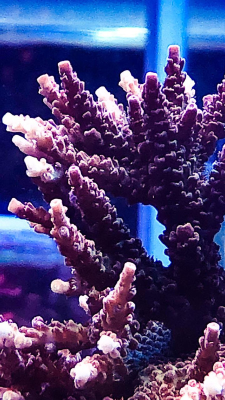 2A516DCA-7360-47FC-8839-5D3002A7D196