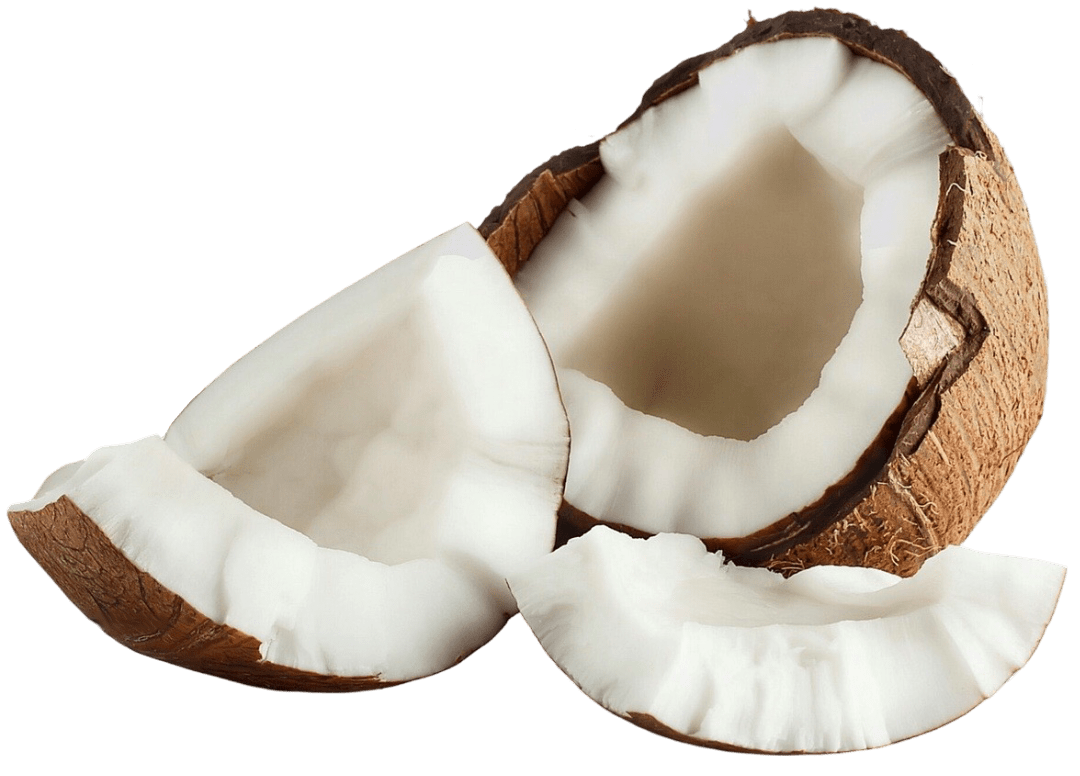 Coconut