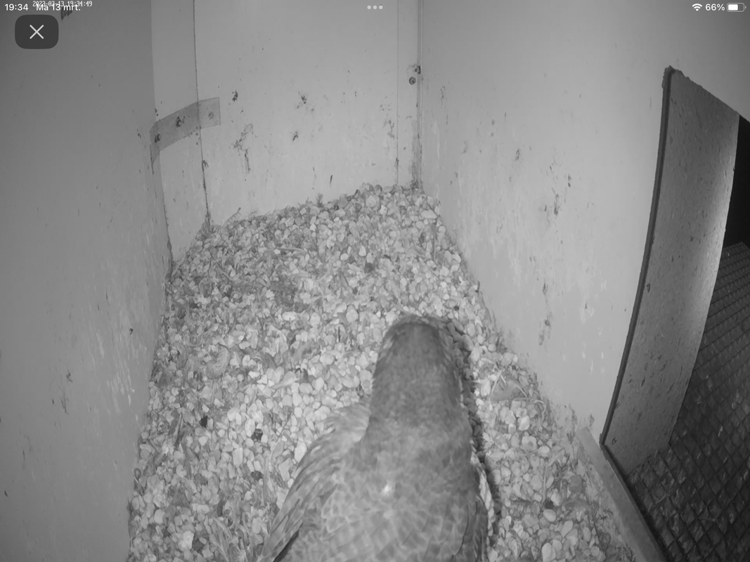 DFE2D323-B14C-4131-B65D-0A9B2F427737