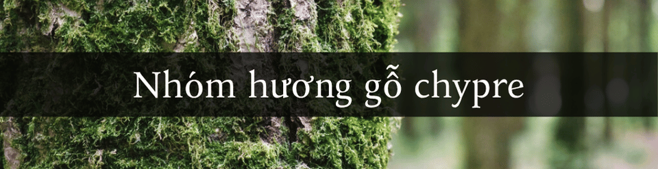 nhom-huong-go-chypre.png