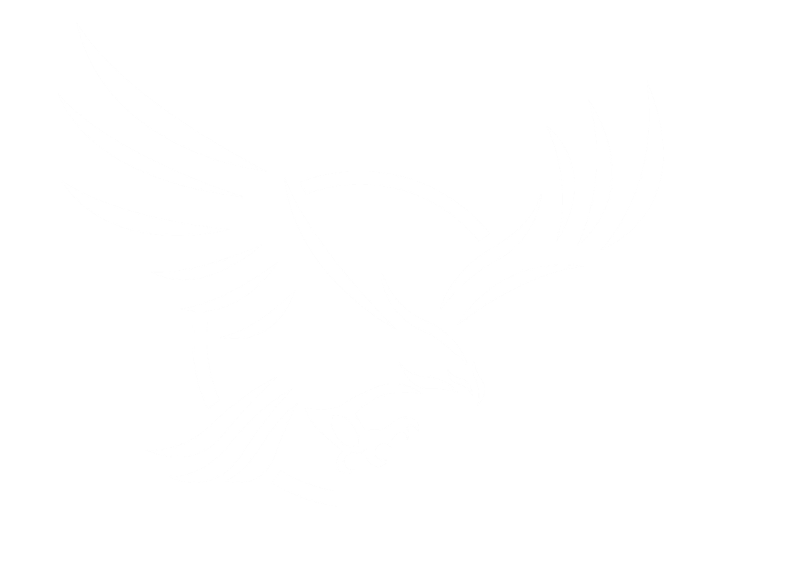 logo-aguila