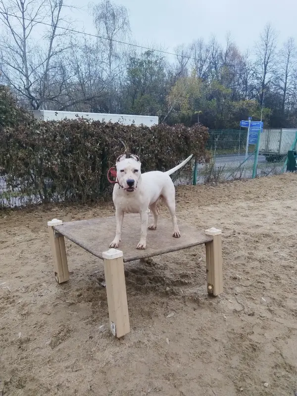 RcTaDMBWwnZ1GrMx9_wMJusRWGqg7rUhqimij0pQAXrT4xjnHkqsN3azqAJ8RopWDL1CUoHR9uvcMvlZsGrLGLAt