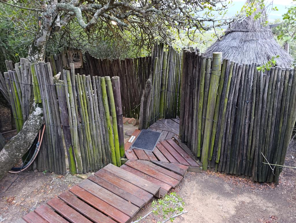 Такая близкая Африка. (ЮАР. 22 дня и 4200 км. Ноябрь-Декабрь)