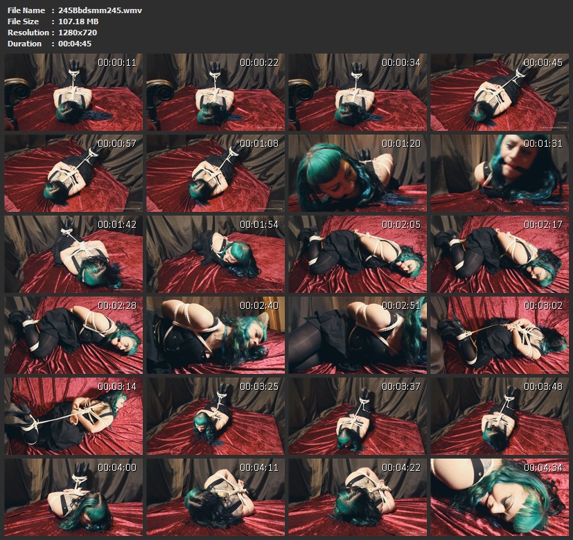 245Bbdsmm245.wmv