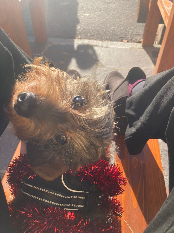 [Image: IMG-20240101-WA0038.jpg]