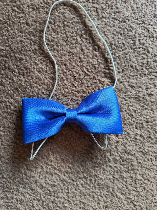 Blue Elastic Bow Tie