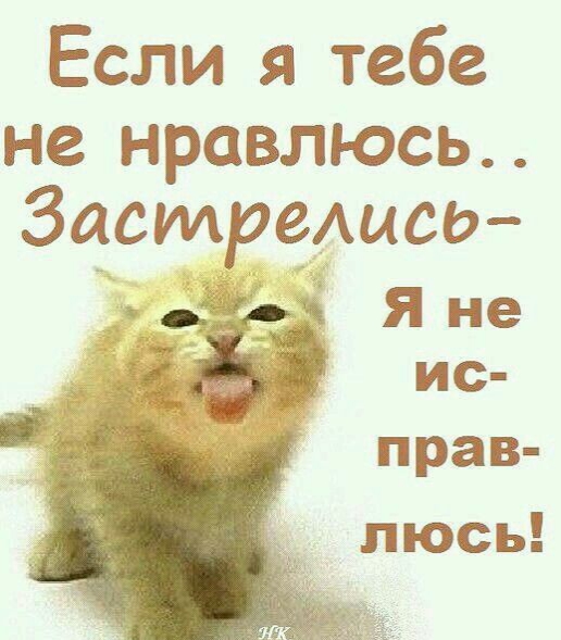 8 февраля 2025 - Кому Не ... нравлюсь,стреляйтесь сразу-Убогие!)))))))