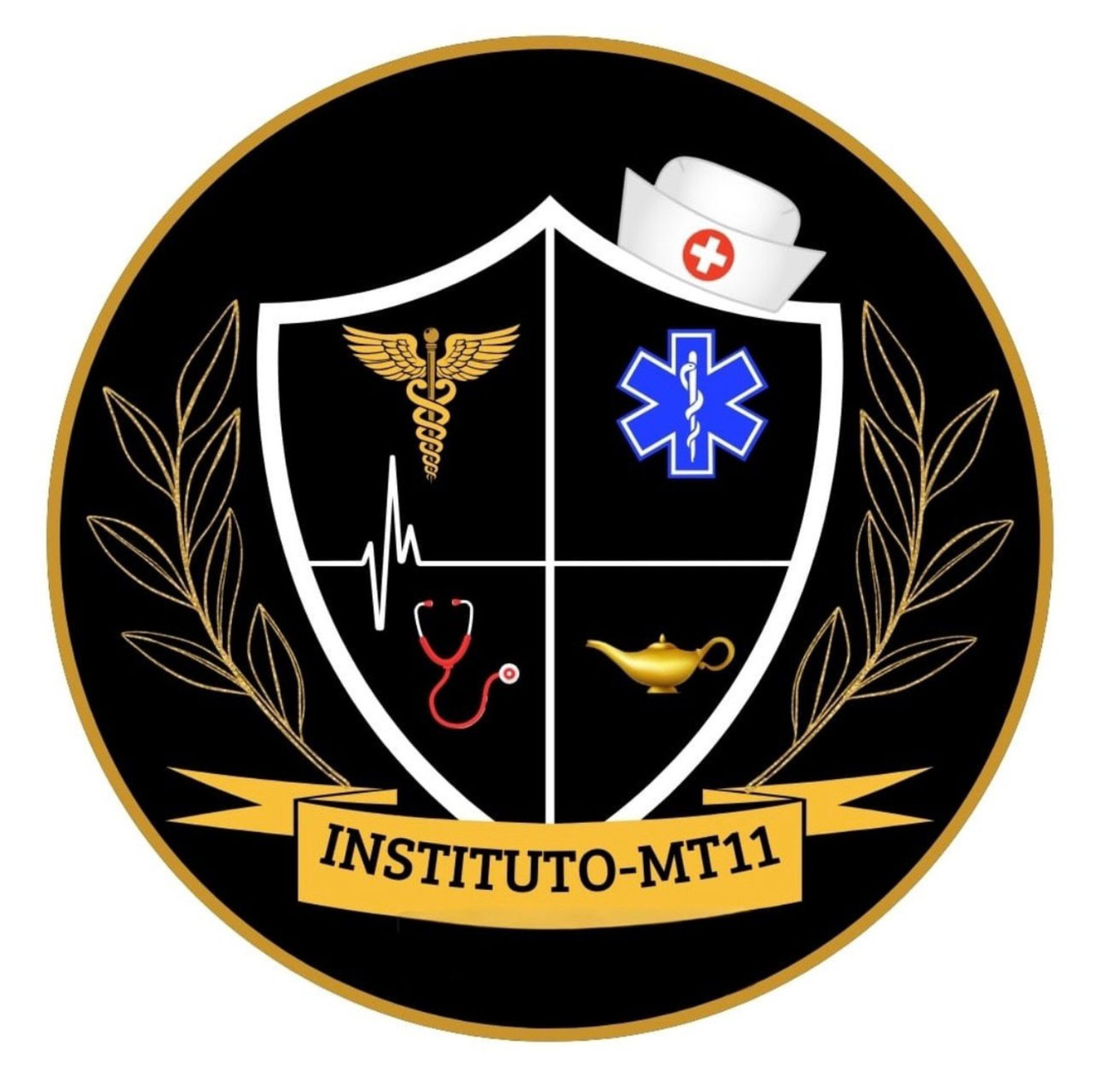 INSTITUTO-MT11