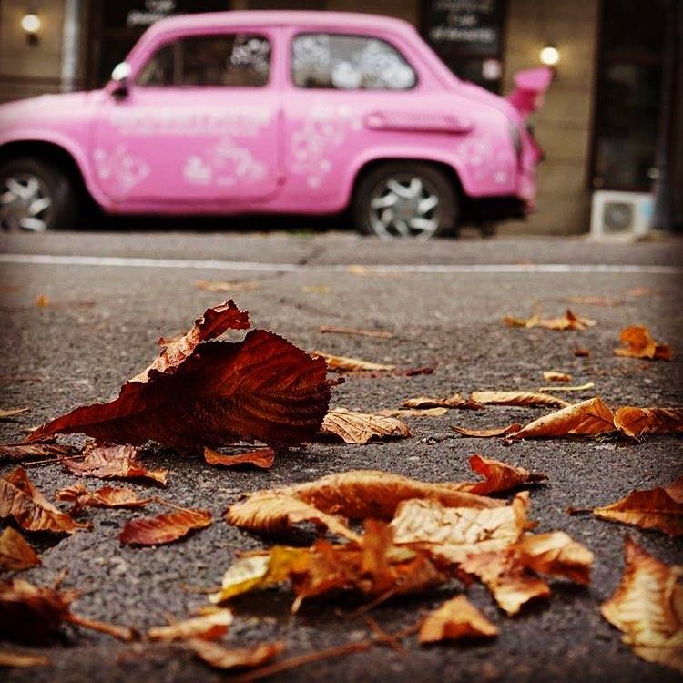 ���� ���� ������ �� ���� ������