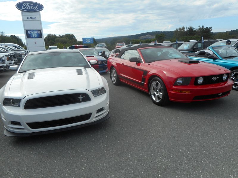 Rendez-Vous Mustang Cliche Auto Ford - 14 août 2022 Cliche2022-14