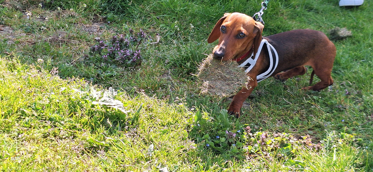 [Image: 20250408-161147.jpg]