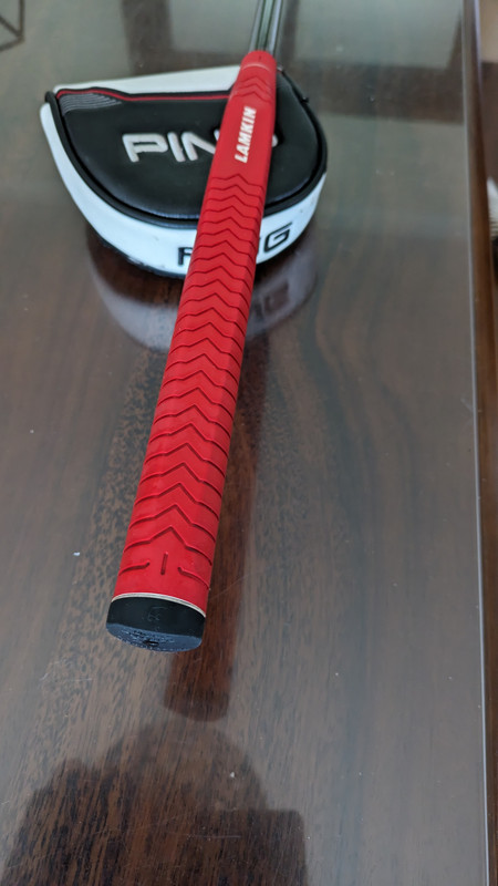 PXL_20240229_151302820