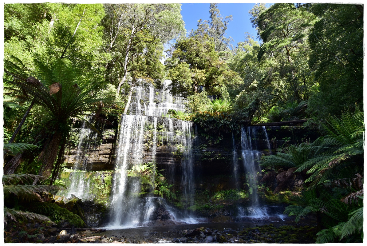 Mount Field National Park - Australia (II): Recorriendo Tasmania (6)