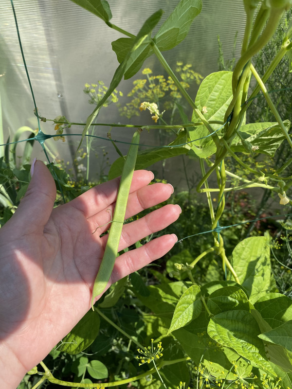 03303DE2-C66F-4C35-9199-B2F6C852F743