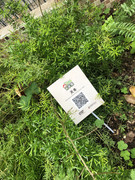 photo-iherbalgarden-3rd-031