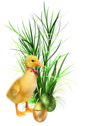 0-1c1b19-b41f8386-orig
