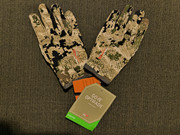 IMG-20260824-030619