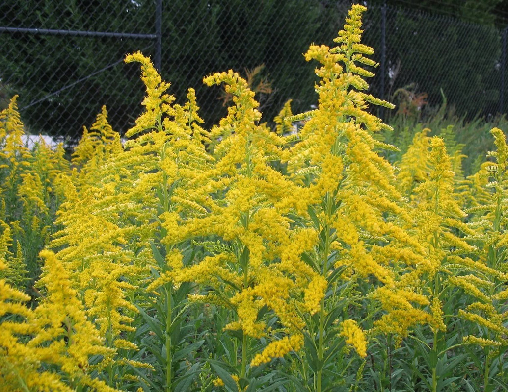 0E4492B5-B8A1-4E5F-B53C-47F263D5DDFD