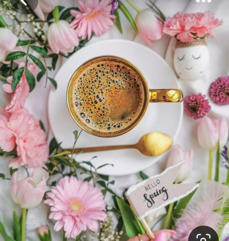 Screenshot_20230517_004016_Pinterest