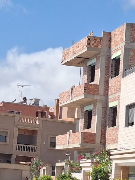 566222579-1445808693929144-3133961298878737507-n