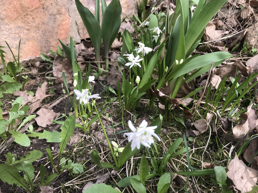 098056F9-1826-466D-B6A7-EFA9FCD4074C