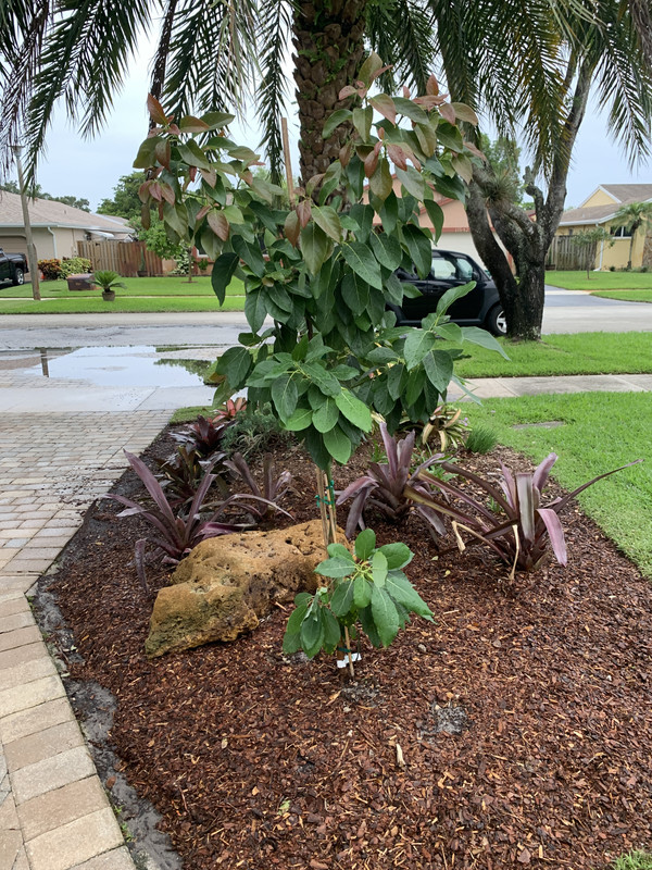 E460F4E7-BF9E-4945-825D-FF4798BF375E