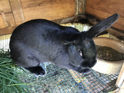 DA69BC9C-8F40-4A87-B1D1-00473BE4DF96