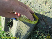 IMG-1719