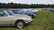 20190719-141614.jpg
